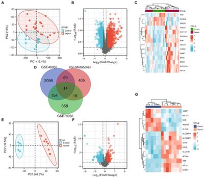 Identification of iron metabolism-related genes in the circulation and myocardium of patients with sepsis via applied bioinformatics analysis